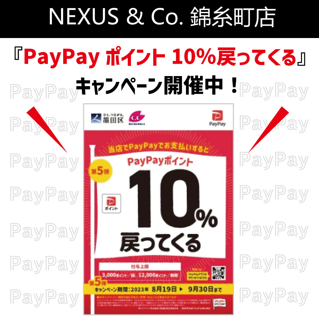 kinshi-paypay10%